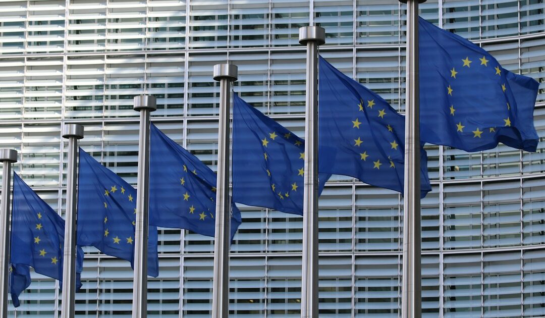 Rangée de drapeaux européens devant la façade vitrée d'un bâtiment institutionnel