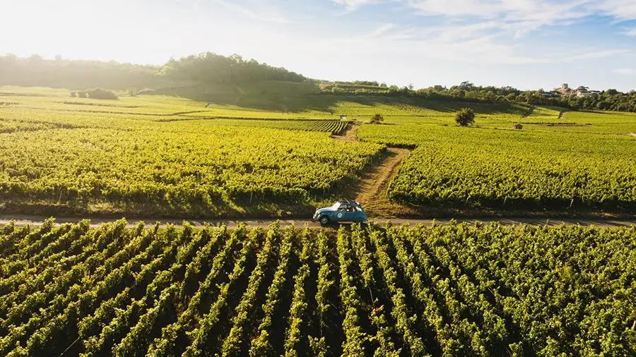 Vignobles de Beaune en Bourgogne vus du ciel
